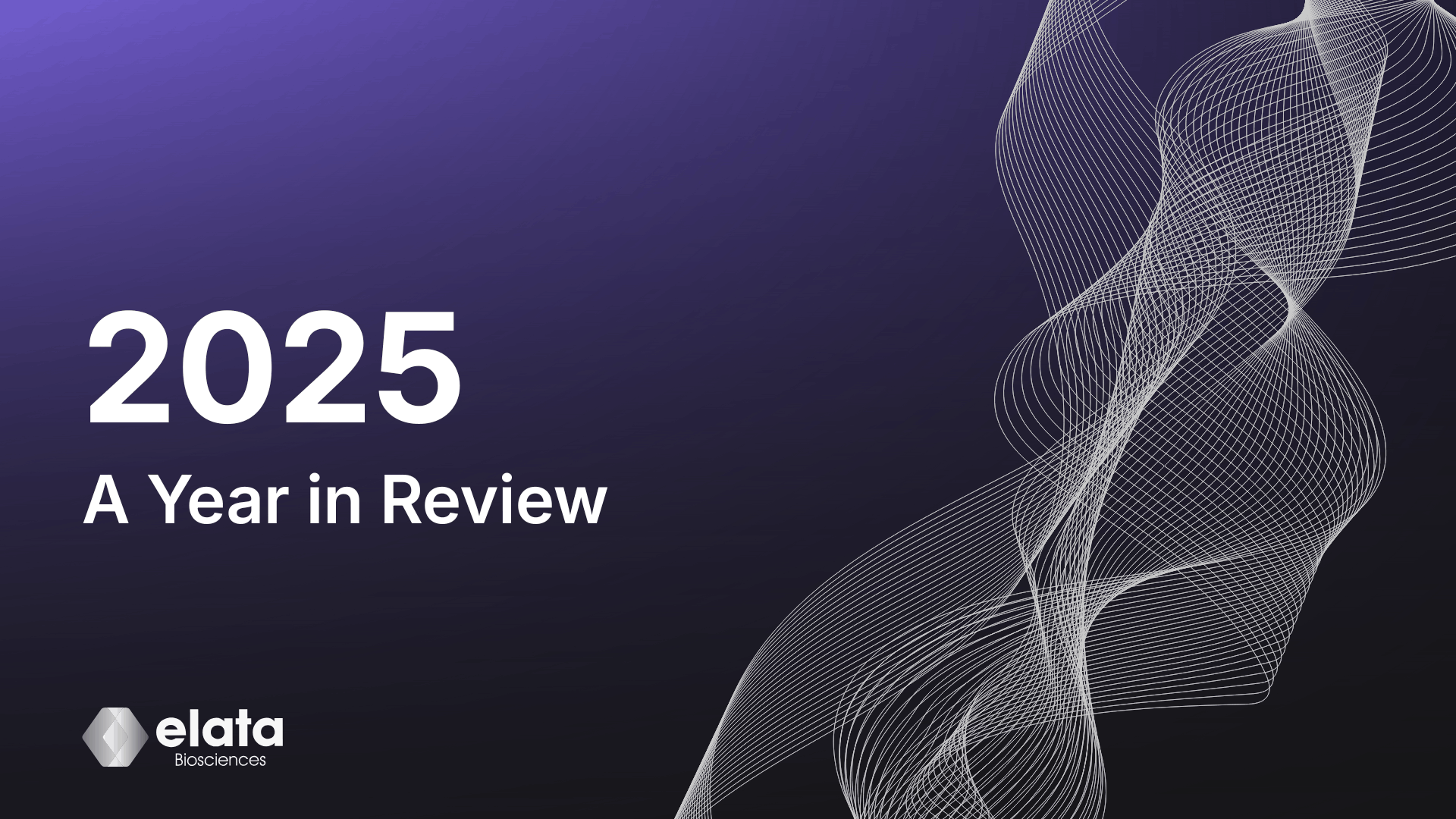 2025: Year in Review | Elata